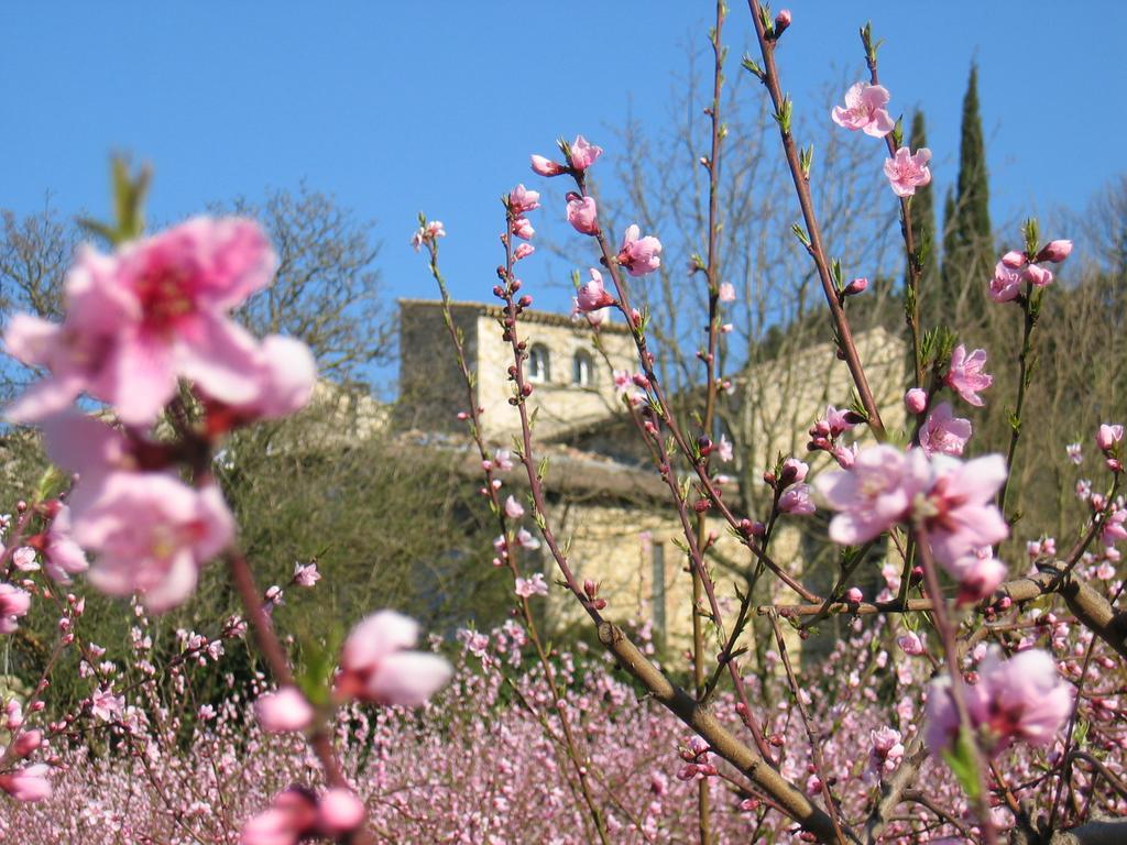 Maison D'Hotes Les Fougeres 米尔芒德 外观 照片